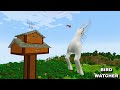 SURVIVING AGAINST BIRD WATCHER ARRIVAL in Minecraft 