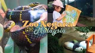 [17] A DAY IN ZOO NEGARA MALAYSIA | HD Video | Toddler Friendly | Different kind of snakes | Vlog