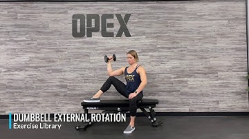 Dumbbell External Rotation