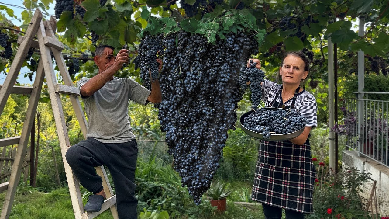 Discover the REAL Grape Syrup Process 🍇🔥 – Traditional Method from Albania! 🇦🇱