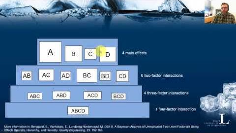 Effect sparsity, hierarchy and heredity principles