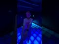 Мини пиг | mini pig