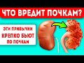 Привычки, которые убивают наши почки! Медицина не нужна, если  соблюдать правила чистых почек!