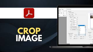 How to Crop in Adobe Acrobat 2026