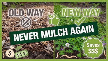 I Replaced Mulch With THIS (My Soil Is THRIVING!)