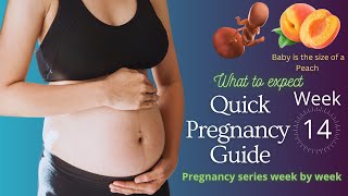 14 Weeks Pregnant - Pregnancy Week By Week 14 Weeks Subscribe For More Pregnancy Content
