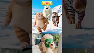 😺 😎 A Naughty Cat and a Tiger Make Fur from a Penguin and a Polar Bear 😆 #cat #funny