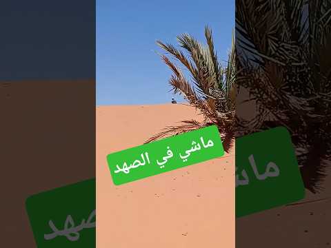 السيد مكمل الخدمة على الزوج نتاع القايلة وماشي نوررمال في الصهد الله يعاونو