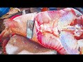 The fate of another GIANT at sea! HUGE CATFISH CUTTING | Amazing fish cutting skills