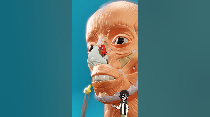 Lego Stuck In His Nose… For 26 Years!