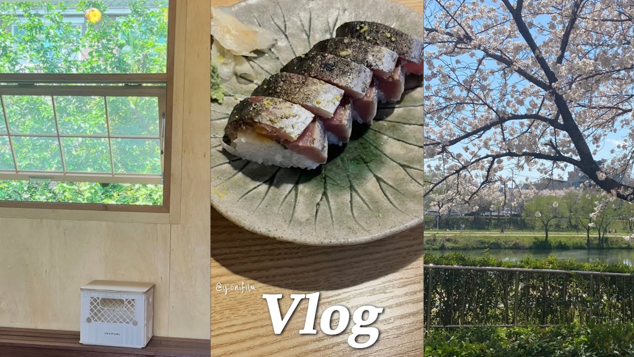 Vlog | 작년4월 브이로그 | 겨울에 꽃구경 할사람~? | 도쿄아님. 한국임 | 일상브이로그 | 8주년 기념일 | 동명동 오보에루 | 전주 카페 | 하이라이트 팬클럽키트 언박싱