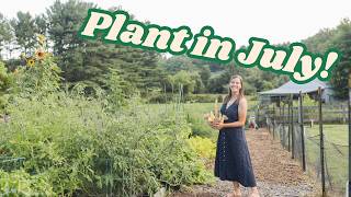 5 Crops That Love July Heat and Produce Fast!