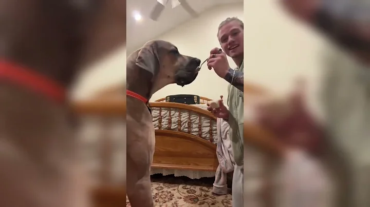 Hahah what a time that was!