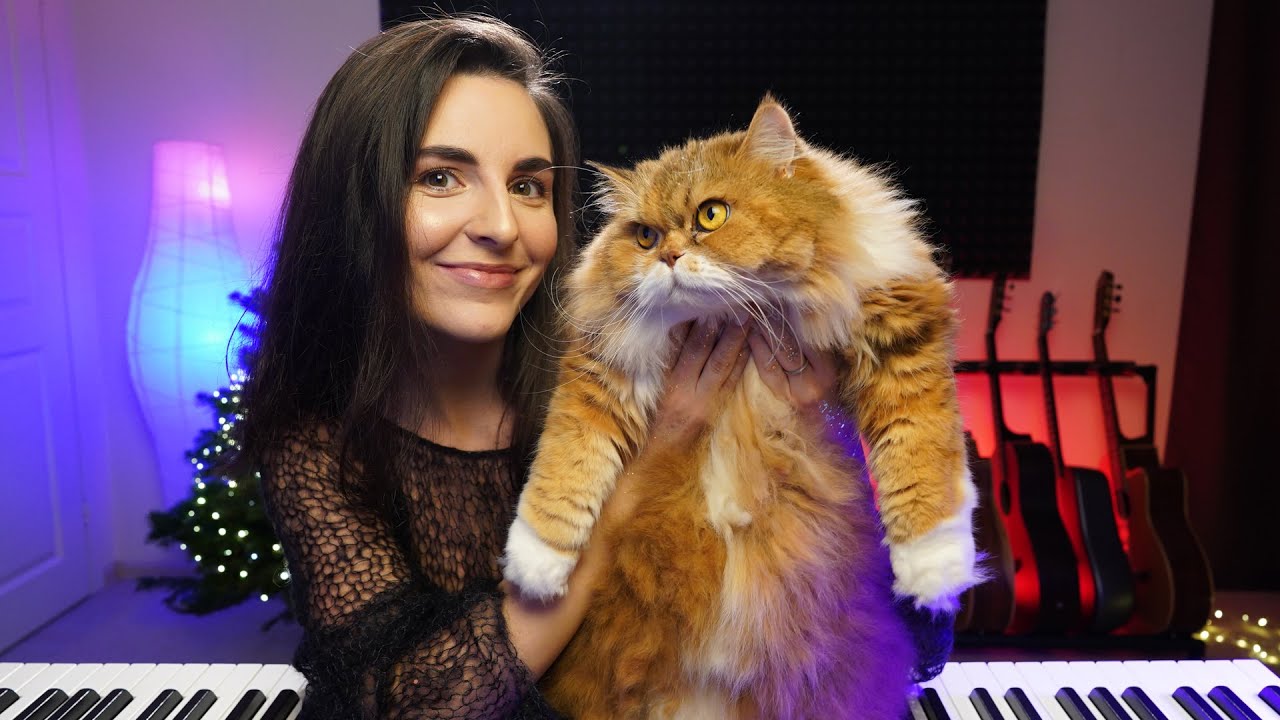 Песня теплые коты fleur. Песня теплые коты fleur