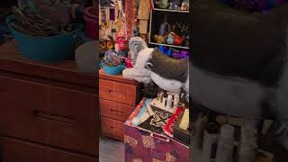 My latest art work these are made with recycled bottles and polymer clay