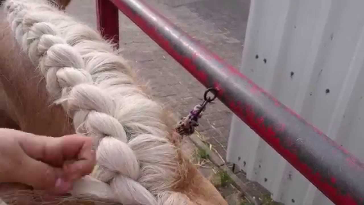 Tutorial Mähne einflechten / Französicher Zopf / Bauernzopf