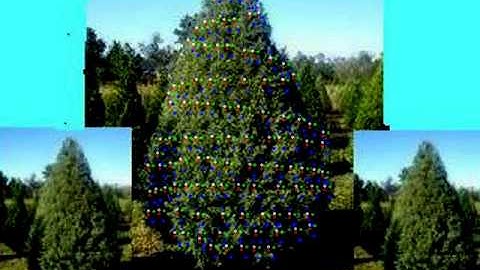 American Soldier LOR Visualizer