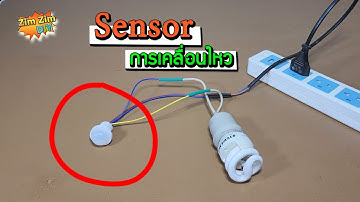 PIR เซนเซอร์ตรวจจับการเคลื่อนไหว220V