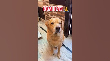 Day 1/75 hard challenge | Ram Ram sareyane🙏 #shorts #minivlog | Anant Rastogi