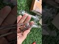 Remove Yellow Teeth & Plaque ⚡ 7 in 1 Dental Tools