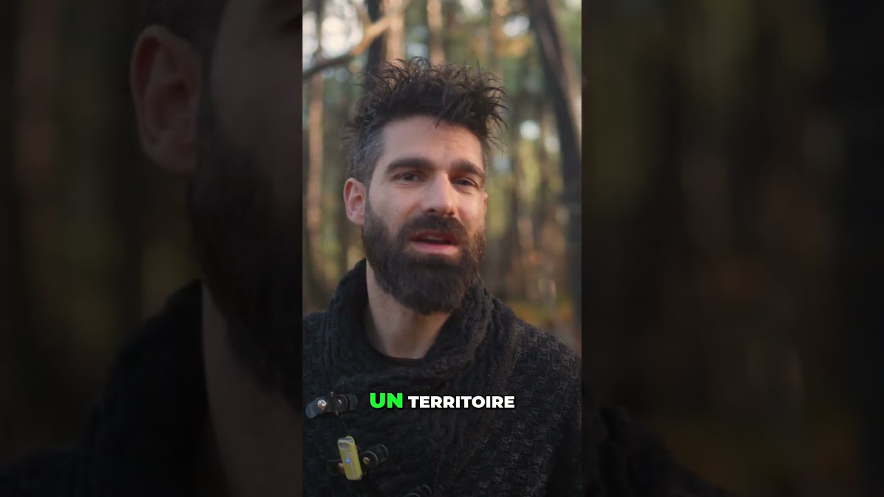 Politique Timucua : Territoire et Leadership Expliqués #shorts