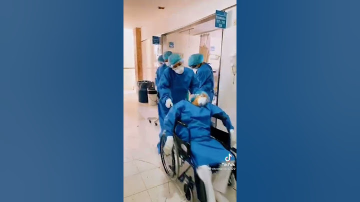 las doctoras