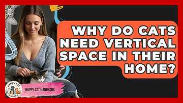 Why Do Cats Need Vertical Space In Their Home? - Happy Cat Handbook