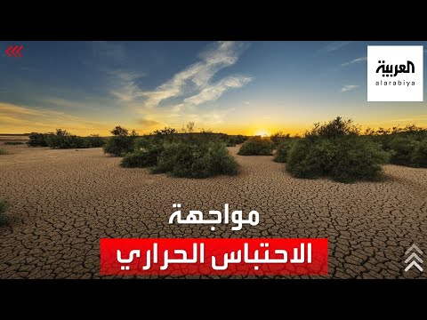 فيديو: معالجة مشكلات الاحتباس الحراري - كيفية حل مشكلات الاحتباس الحراري الشائعة