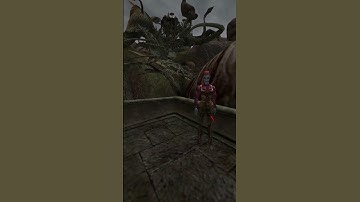 Why will nobody accept my insincere flattery? #Morrowind