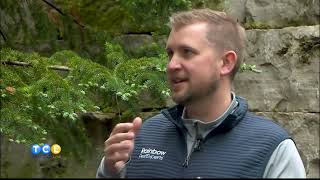 Rainbow Pest Control keeps bugs away - Sponsored by Rainbow Pest Control