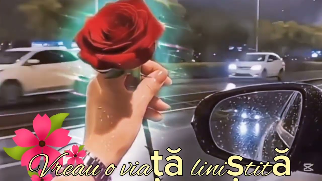 Vreau o viață liniștită 🎶🌺🎶 🅻🅰🅳🆈 🅻🆈🅳🎶🌺🎶