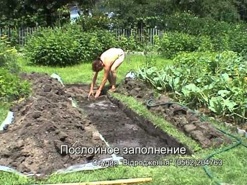 Теплая грядка - YouTube
