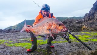 Landbased Fishing NZ Snapper 