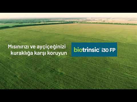 Biotrinsic i30 FP - biyolojik tohum kaplama | Mısır