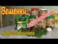 Вешенки консервированные, маринованные.