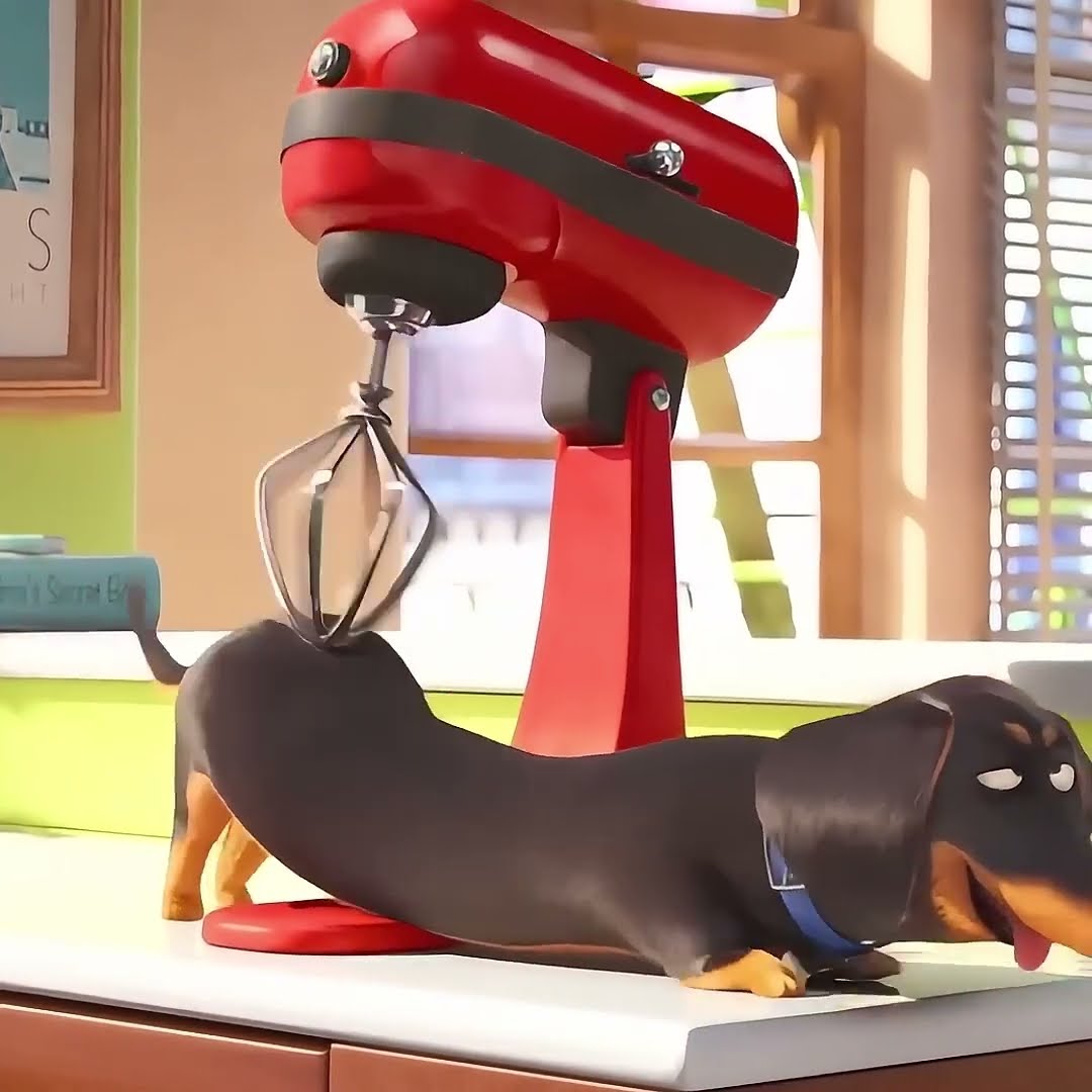NÃO ACREDITO QUE O CACHORRO FEZ ISSO KKKK #shorts