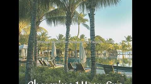 Simple Koto and Strings - Vibe for Soul Remedies