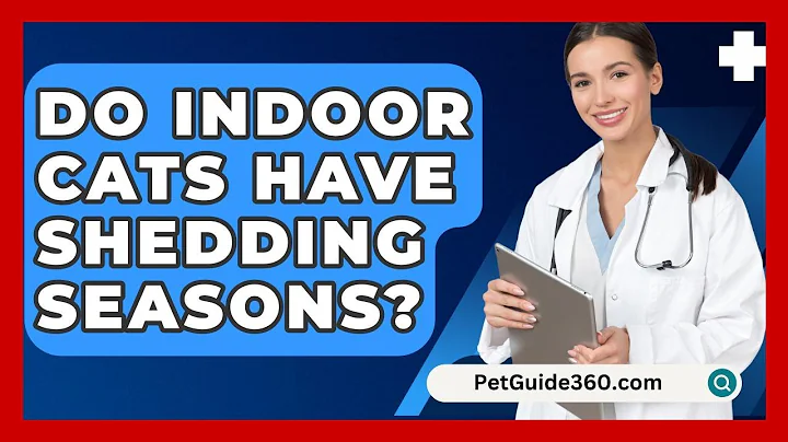 Do Indoor Cats Have Shedding Seasons? - PetGuide360.com