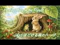 心が疲れた日に聴く、森のハープBGM｜自律神経を整える癒しの音色