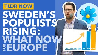 How Anti-Immigration Went Mainstream: Normalising the Sweden Democrats - TLDR News