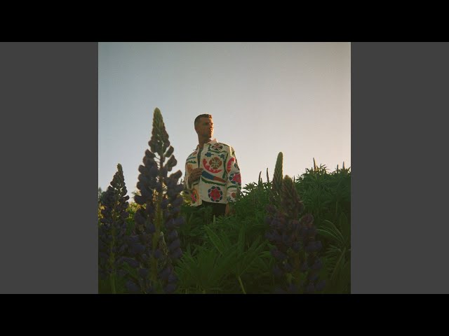Without You - YouTube