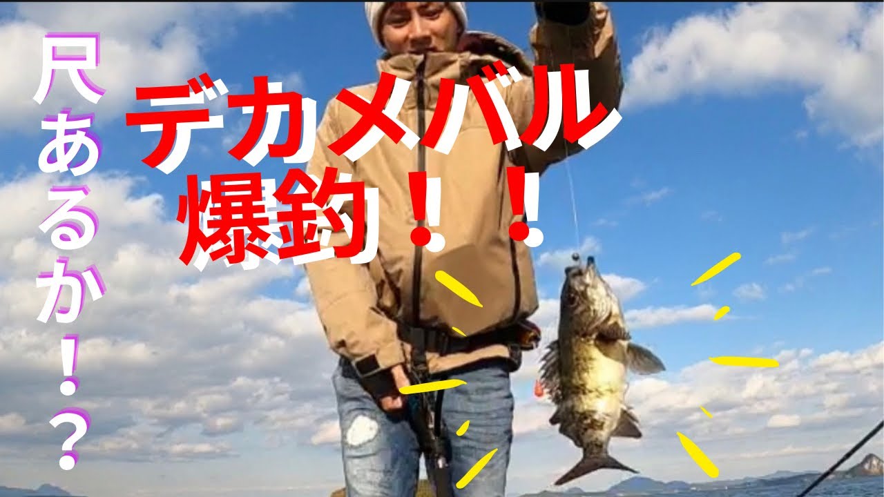 熊本天草 メバル爆釣 尺メバルなるか メバル メバリング Youtube