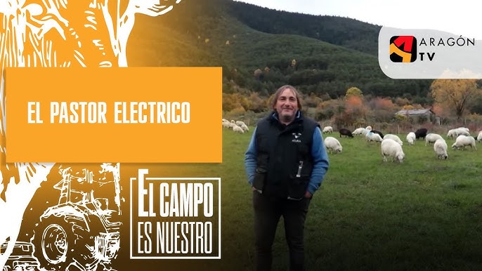 Diferentes Tipos De Pastores Eléctricos - Soutelana