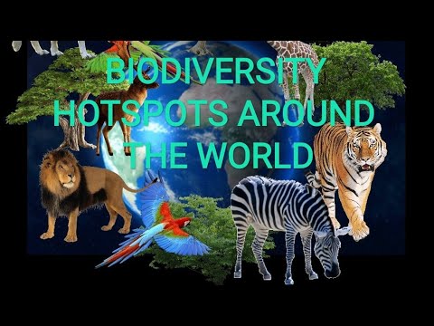 BIODIVERSITY HOTSPOTS BIODIVERSITY HOTSPOTS AROUND THE WORLD - YouTube