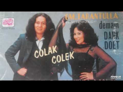 Taktik camelia malik