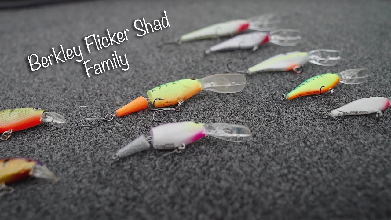 Подводное видео семейства приманок Berkley Flicker Shad