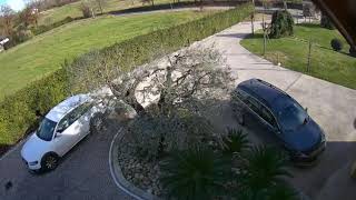 Macchina Che Si Parcheggia Da Sola