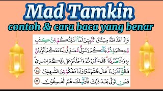 Mad Tamkin Contoh dan Cara Baca yang Benar sesuai Tajwid Surat Ali Imran Ayat 81 82 Fasih Baca Quran