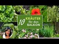 10 Kräuter Klassiker für den Balkon - die beliebtesten Kräuter für Töpfe und Balkonkästen