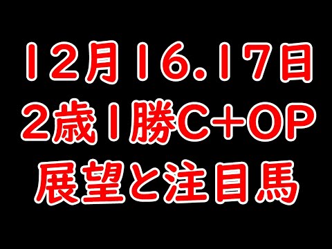 12月16.17日2歳条件戦展望と注目馬！賞金加算に成功するのはどの馬か？シックスペンス2勝目なるか？【POG23-24】